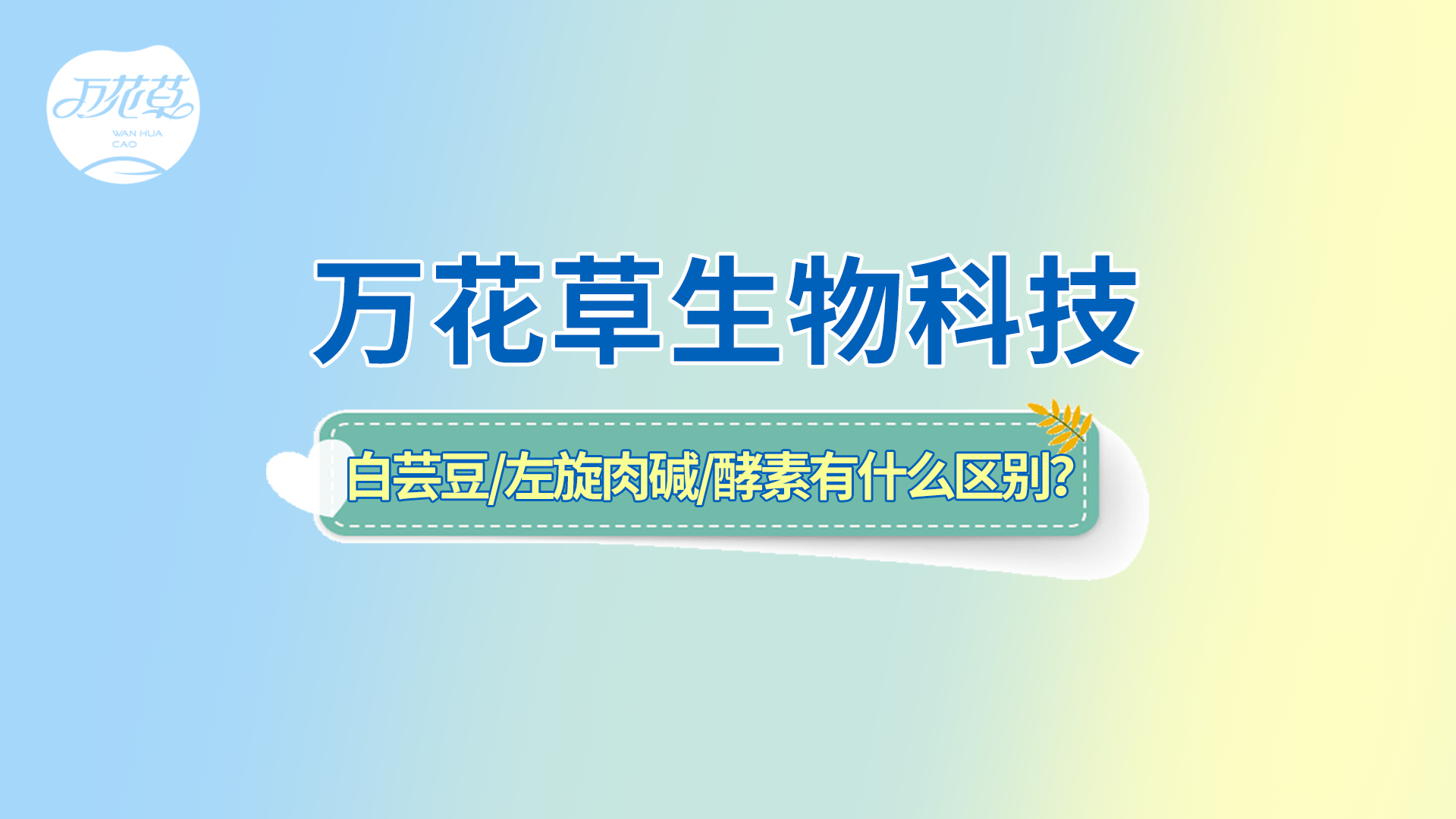 白蕓豆、左旋肉堿、嗨吃酵素有什么區(qū)別？